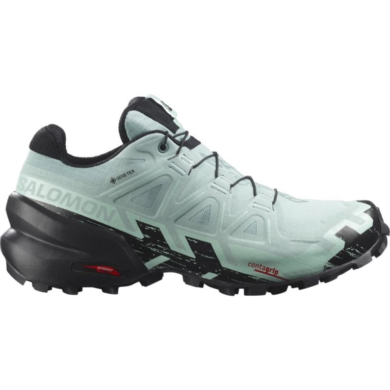 Salomon Speedcross 6 GTX Trailove Bezecke Tenisky Damske Mätové | SK 9LHVRW